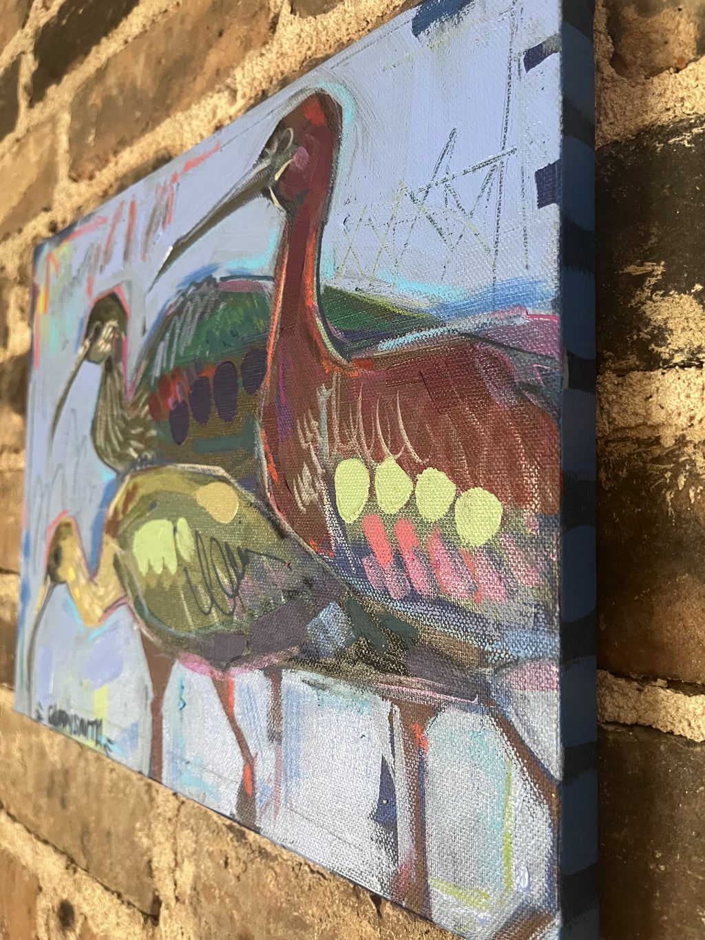 Glossy Ibis Birds