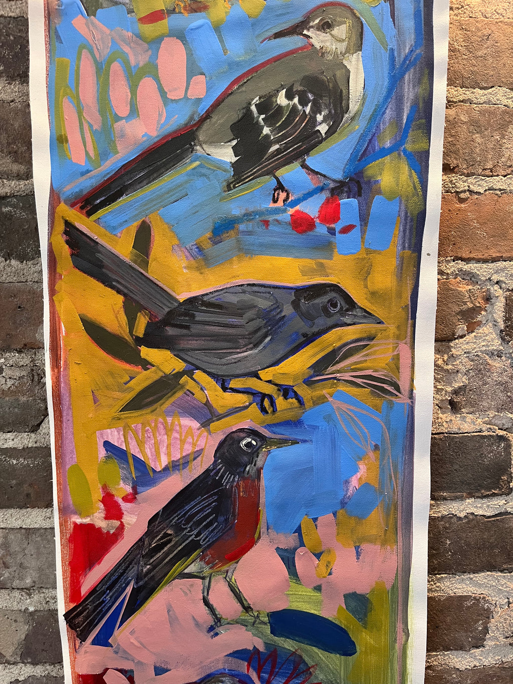 Birds of North America