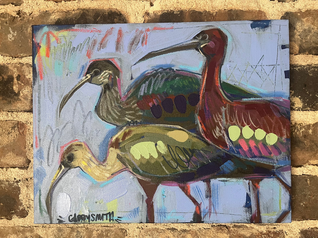 Glossy Ibis Birds