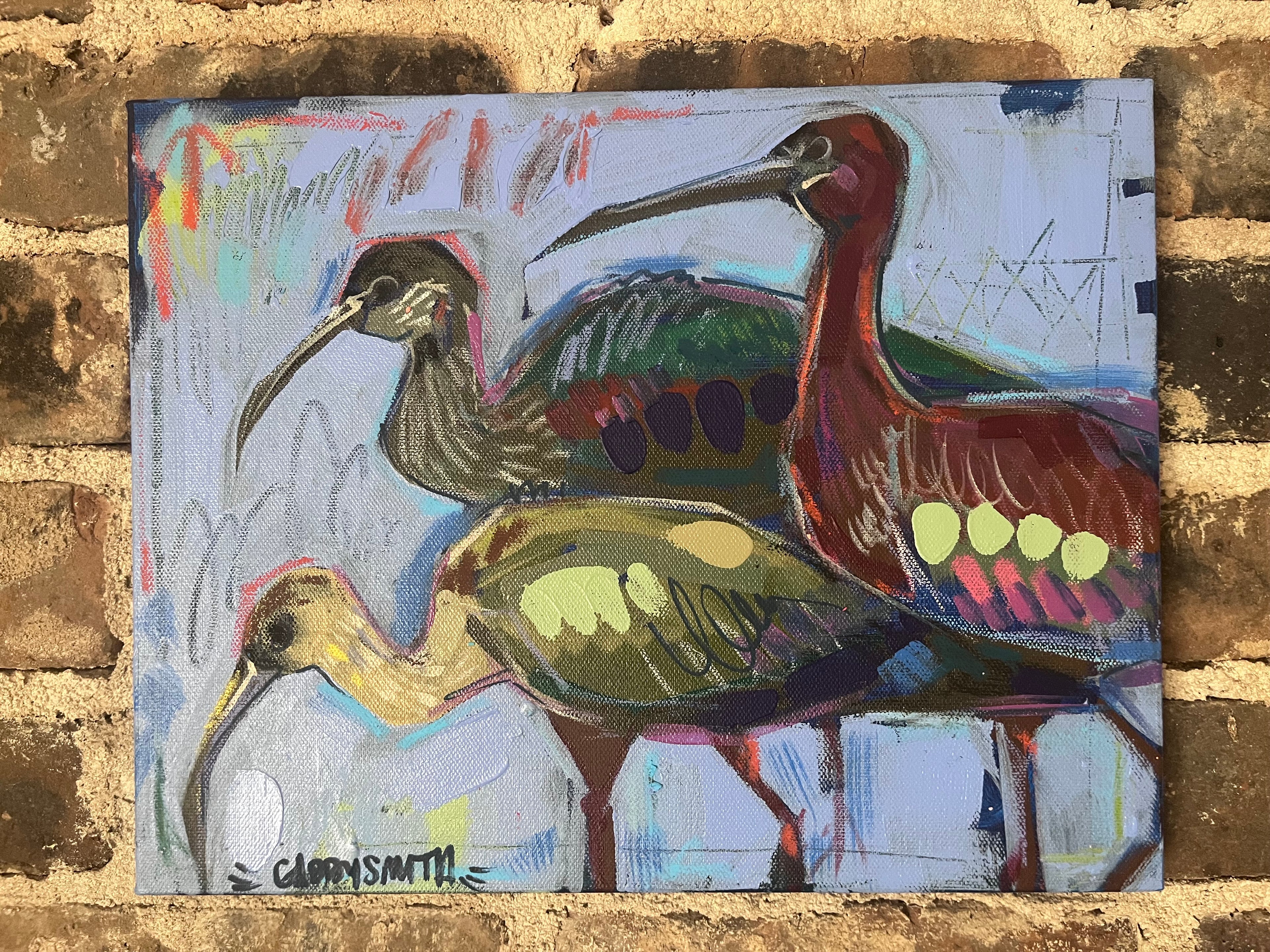 Glossy Ibis Birds