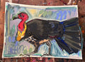 Australian Brushturkey