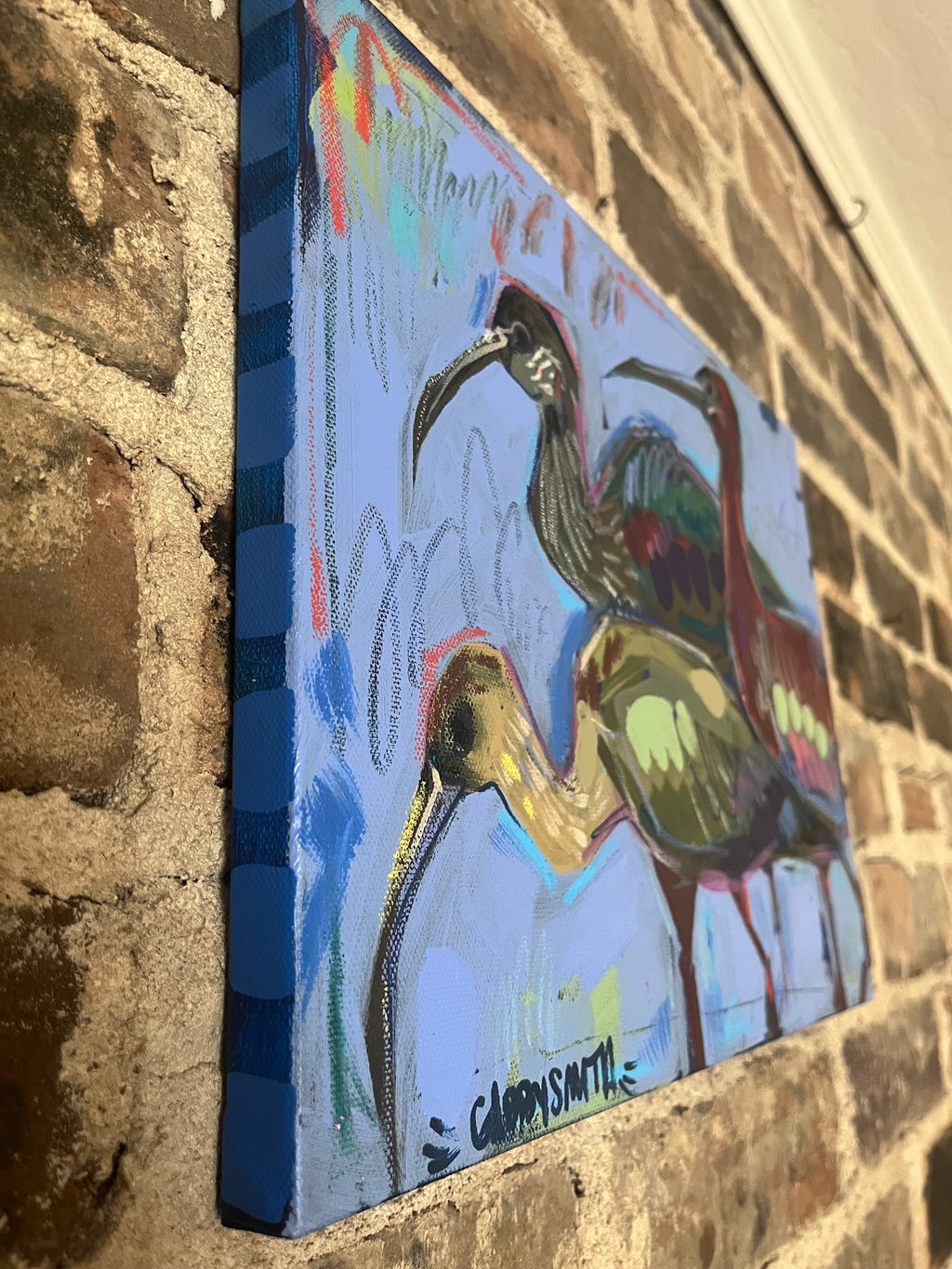 Glossy Ibis Birds