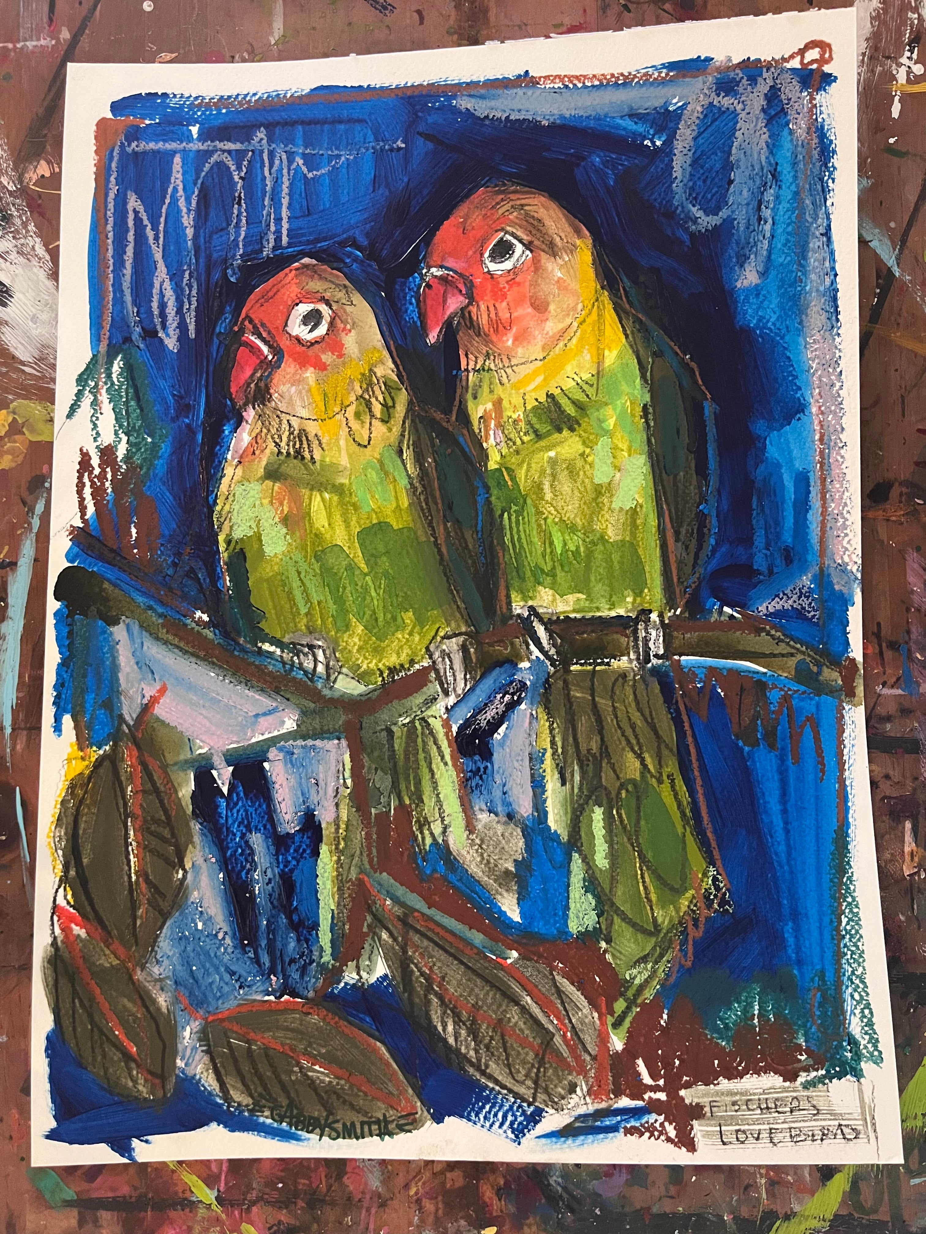 Fischers Lovebirds